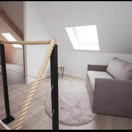 L'avocette De La Réserve