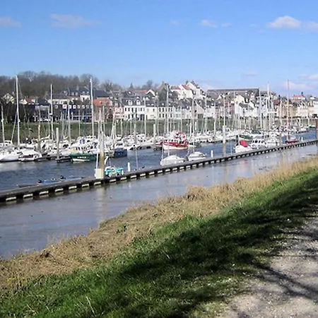 L'avocette De La Reserve *